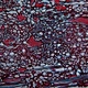 Binocular Biological Microscope